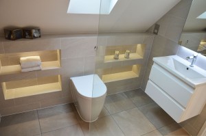 toilet and basin luxury shower room